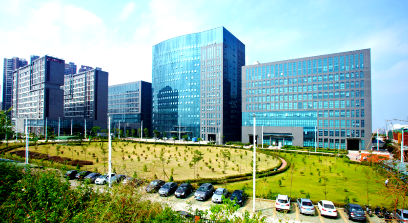 全媒体运营体系搭建中短视频矩阵与直播流量的协同策略解析